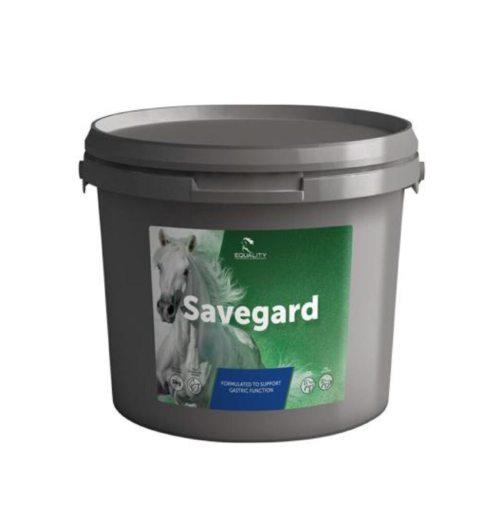 SaveGard 3 Kg