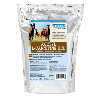 L-CARNITINE HCL Acetyl Powder 454 g